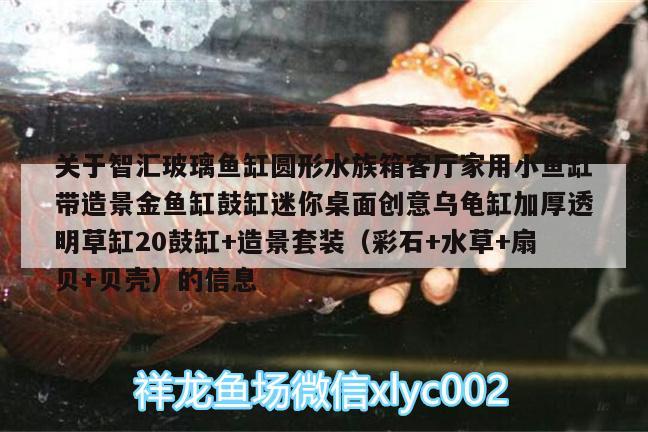 关于智汇玻璃鱼缸圆形水族箱客厅家用小鱼缸带造景金鱼缸鼓缸迷你桌面创意乌龟缸加厚透明草缸20鼓缸+造景套装（彩石+水草+扇贝+贝壳）的信息