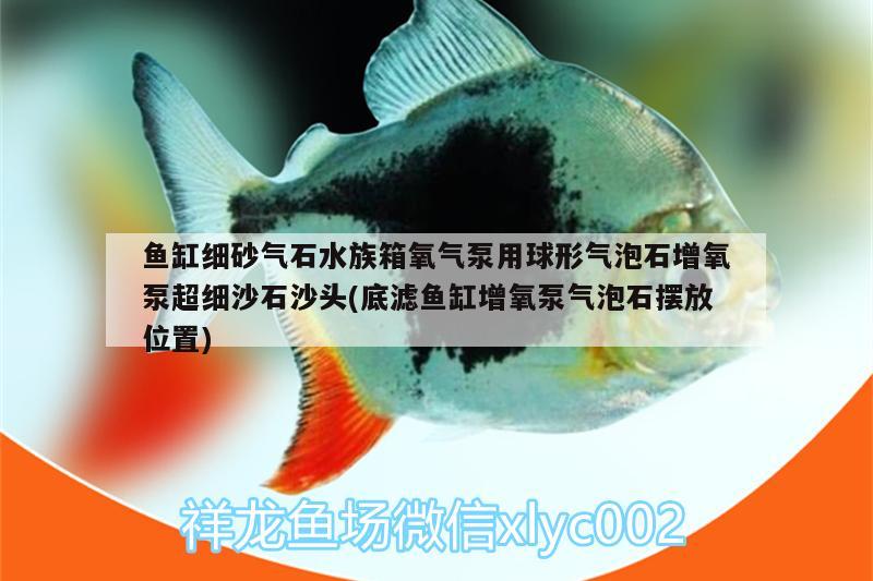 鱼缸细砂气石水族箱氧气泵用球形气泡石增氧泵超细沙石沙头(底滤鱼缸增氧泵气泡石摆放位置)