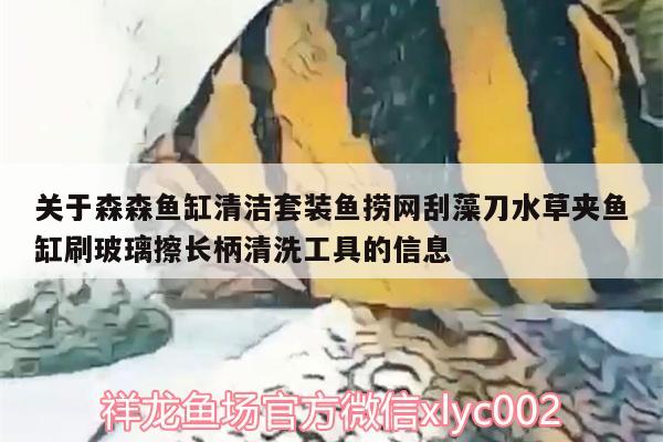 关于森森鱼缸清洁套装鱼捞网刮藻刀水草夹鱼缸刷玻璃擦长柄清洗工具的信息 水草