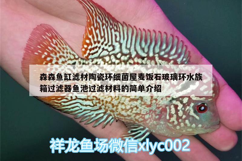 森森鱼缸滤材陶瓷环细菌屋麦饭石玻璃环水族箱过滤器鱼池过滤材料的简单介绍