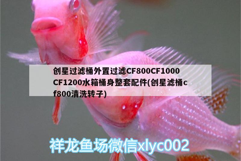 创星过滤桶外置过滤CF800CF1000CF1200水箱桶身整套配件(创星滤桶cf800清洗转子) 广州水族器材滤材批发市场