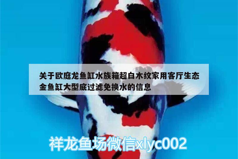 关于欧庭龙鱼缸水族箱超白木纹家用客厅生态金鱼缸大型底过滤免换水的信息 鱼缸/水族箱