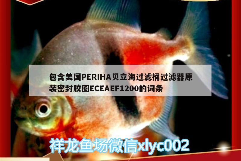 包含美国PERIHA贝立海过滤桶过滤器原装密封胶圈ECEAEF1200的词条 垂钓乐园