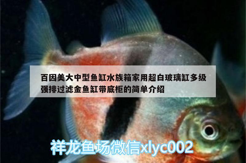 百因美大中型鱼缸水族箱家用超白玻璃缸多级强排过滤金鱼缸带底柜的简单介绍