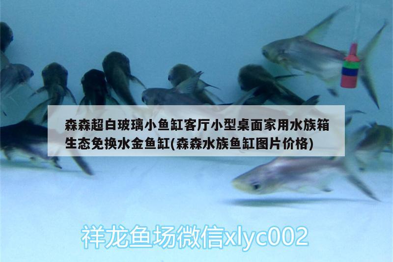 森森超白玻璃小鱼缸客厅小型桌面家用水族箱生态免换水金鱼缸(森森水族鱼缸图片价格) 鱼缸/水族箱