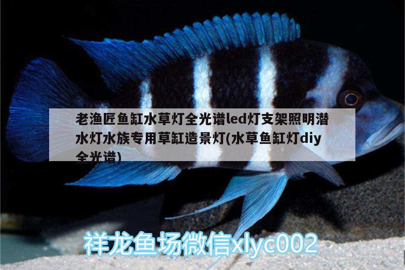 老渔匠鱼缸水草灯全光谱led灯支架照明潜水灯水族专用草缸造景灯(水草鱼缸灯diy全光谱)