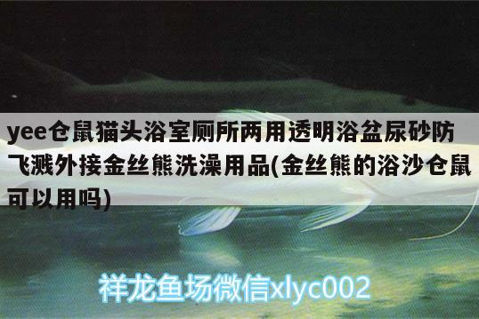 yee仓鼠猫头浴室厕所两用透明浴盆尿砂防飞溅外接金丝熊洗澡用品(金丝熊的浴沙仓鼠可以用吗) yee