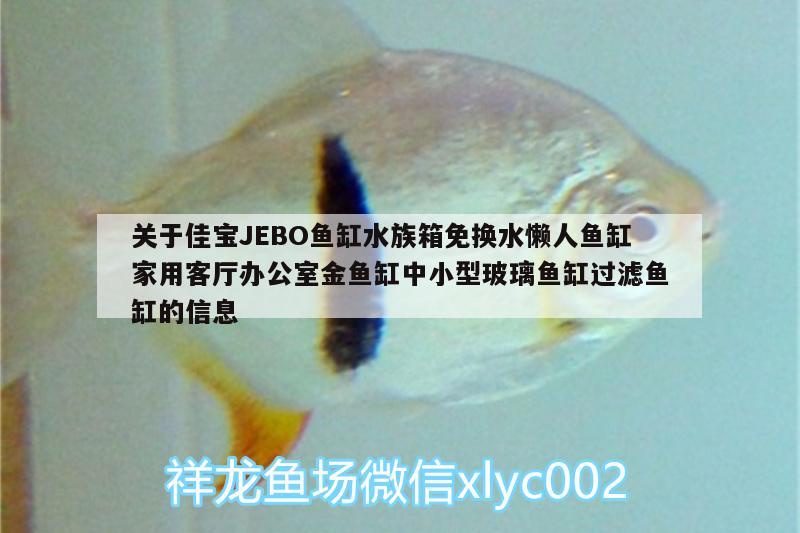 关于佳宝JEBO鱼缸水族箱免换水懒人鱼缸家用客厅办公室金鱼缸中小型玻璃鱼缸过滤鱼缸的信息 鱼缸/水族箱