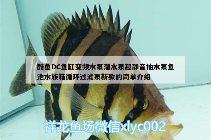 酷鱼DC鱼缸变频水泵潜水泵超静音抽水泵鱼池水族箱循环过滤泵新款的简单介绍 鱼缸/水族箱