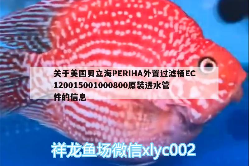 关于美国贝立海PERIHA外置过滤桶EC120015001000800原装进水管件的信息