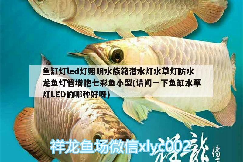 鱼缸灯led灯照明水族箱潜水灯水草灯防水龙鱼灯管增艳七彩鱼小型(请问一下鱼缸水草灯LED的哪种好呀)