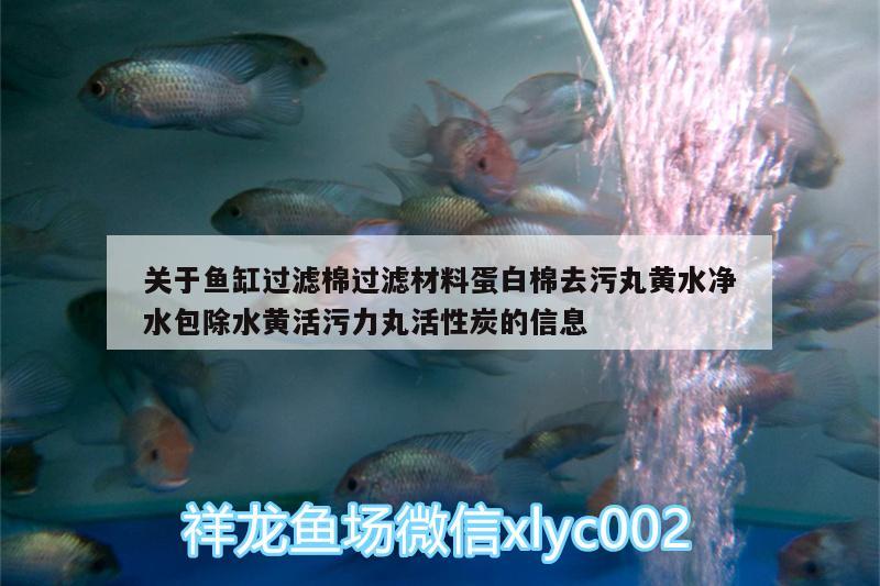 关于鱼缸过滤棉过滤材料蛋白棉去污丸黄水净水包除水黄活污力丸活性炭的信息 广州水族器材滤材批发市场