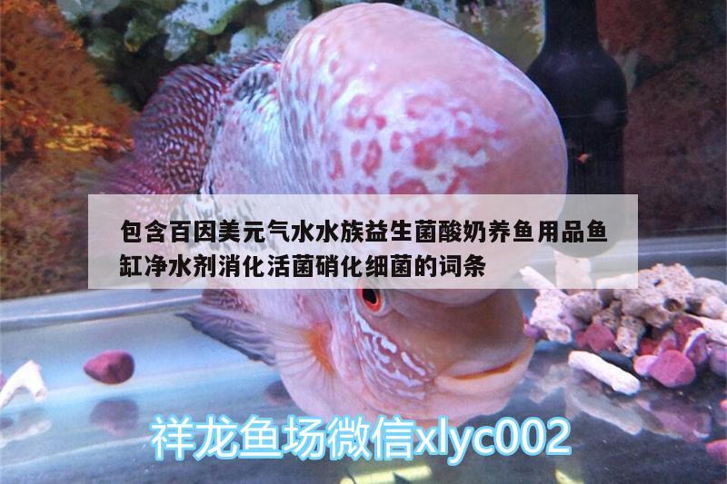 包含百因美元气水水族益生菌酸奶养鱼用品鱼缸净水剂消化活菌硝化细菌的词条