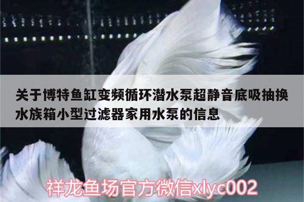 关于博特鱼缸变频循环潜水泵超静音底吸抽换水族箱小型过滤器家用水泵的信息 博特水族