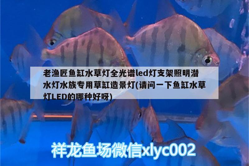 老渔匠鱼缸水草灯全光谱led灯支架照明潜水灯水族专用草缸造景灯(请问一下鱼缸水草灯LED的哪种好呀)