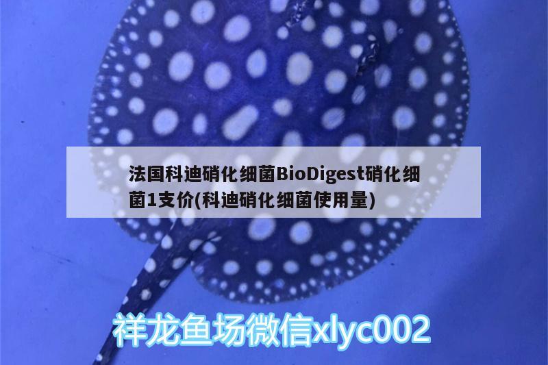 法国科迪硝化细菌BioDigest硝化细菌1支价(科迪硝化细菌使用量) 硝化细菌