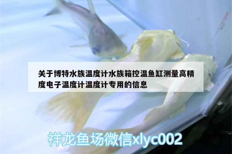 关于博特水族温度计水族箱控温鱼缸测量高精度电子温度计温度计专用的信息