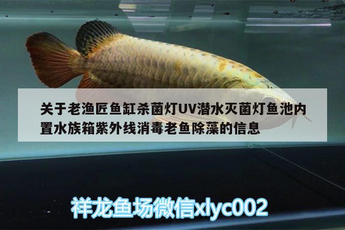 关于老渔匠鱼缸杀菌灯UV潜水灭菌灯鱼池内置水族箱紫外线消毒老鱼除藻的信息