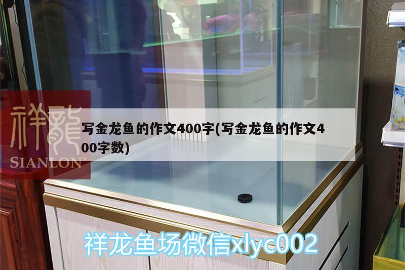 写金龙鱼的作文400字(写金龙鱼的作文400字数) 七纹巨鲤鱼