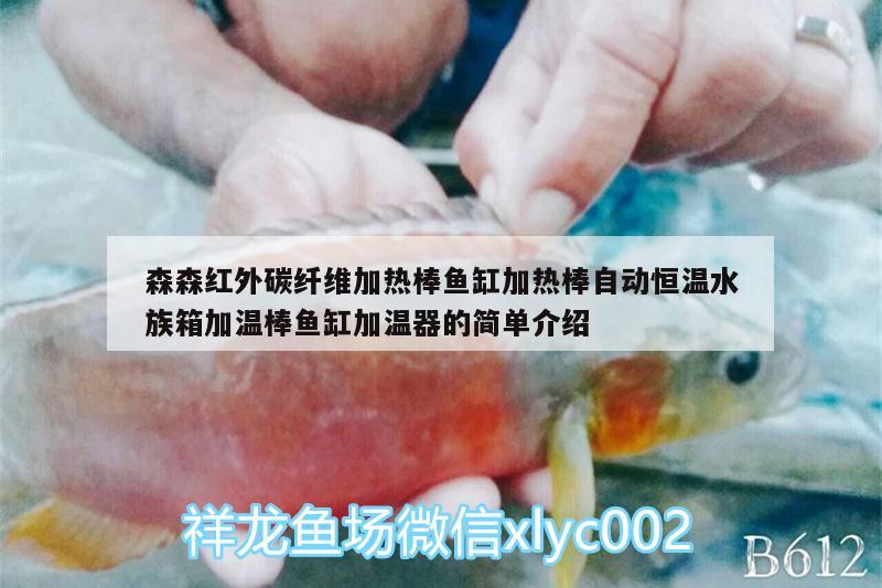 森森红外碳纤维加热棒鱼缸加热棒自动恒温水族箱加温棒鱼缸加温器的简单介绍