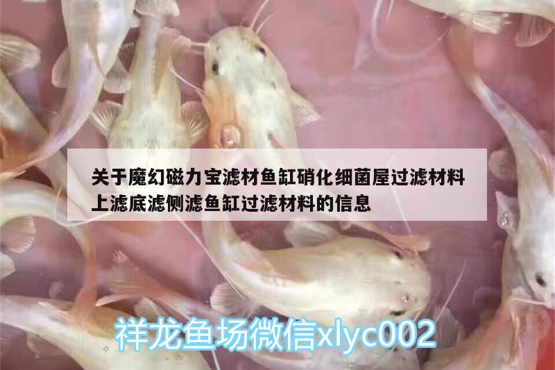 关于魔幻磁力宝滤材鱼缸硝化细菌屋过滤材料上滤底滤侧滤鱼缸过滤材料的信息 硝化细菌