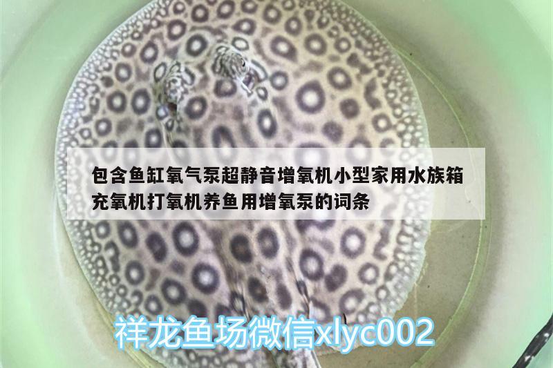 包含鱼缸氧气泵超静音增氧机小型家用水族箱充氧机打氧机养鱼用增氧泵的词条