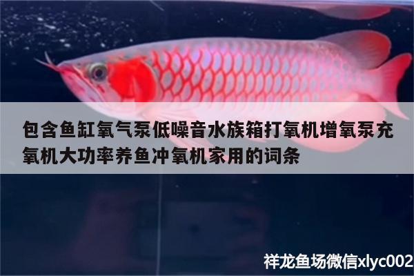 包含鱼缸氧气泵低噪音水族箱打氧机增氧泵充氧机大功率养鱼冲氧机家用的词条