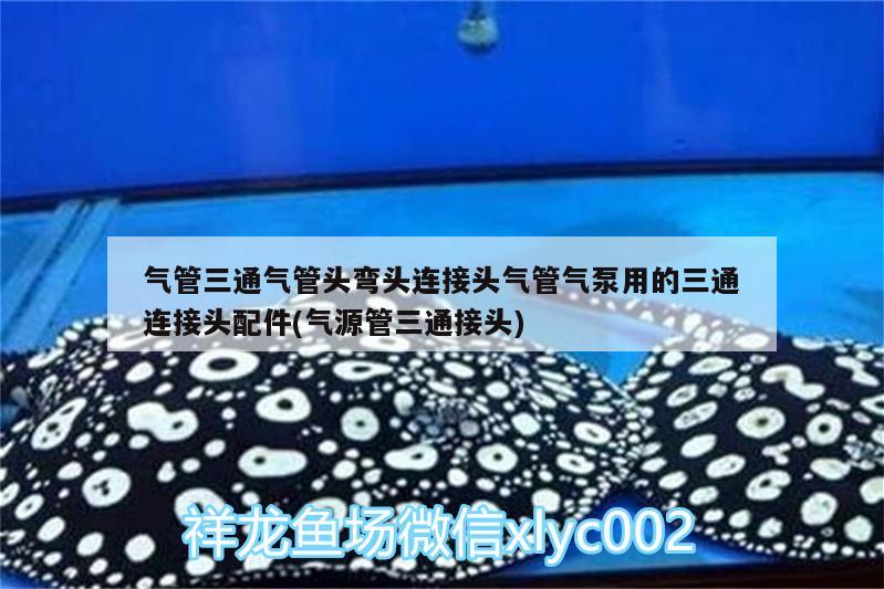 气管三通气管头弯头连接头气管气泵用的三通连接头配件(气源管三通接头) 广州水族器材滤材批发市场