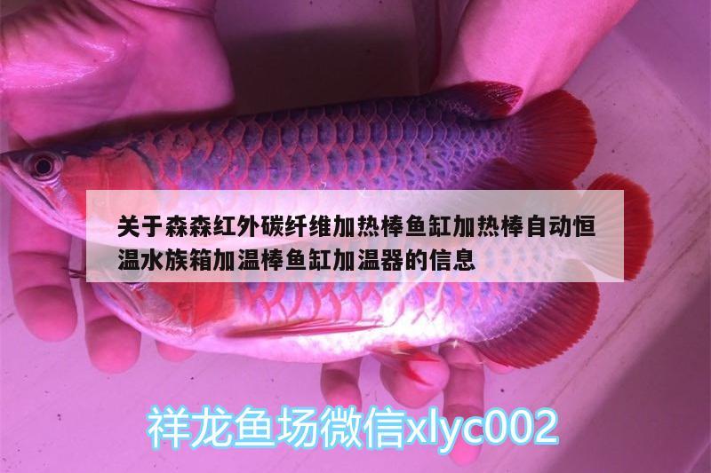 关于森森红外碳纤维加热棒鱼缸加热棒自动恒温水族箱加温棒鱼缸加温器的信息