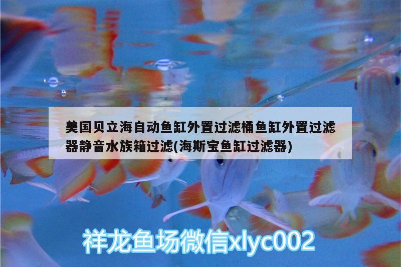 美国贝立海自动鱼缸外置过滤桶鱼缸外置过滤器静音水族箱过滤(海斯宝鱼缸过滤器) 鱼缸/水族箱