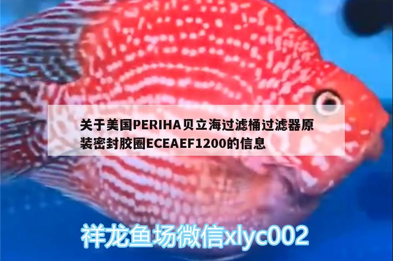 关于美国PERIHA贝立海过滤桶过滤器原装密封胶圈ECEAEF1200的信息