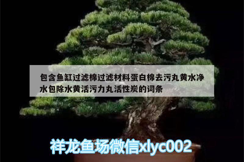 包含鱼缸过滤棉过滤材料蛋白棉去污丸黄水净水包除水黄活污力丸活性炭的词条 广州水族器材滤材批发市场