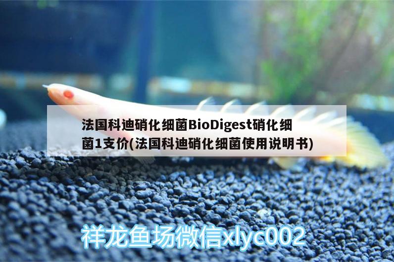 法国科迪硝化细菌BioDigest硝化细菌1支价(法国科迪硝化细菌使用说明书) 硝化细菌