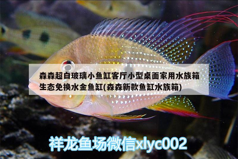 森森超白玻璃小鱼缸客厅小型桌面家用水族箱生态免换水金鱼缸(森森新款鱼缸水族箱) 鱼缸/水族箱