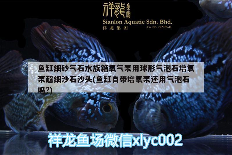 鱼缸细砂气石水族箱氧气泵用球形气泡石增氧泵超细沙石沙头(鱼缸自带增氧泵还用气泡石吗?)