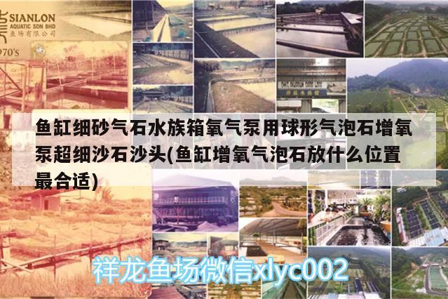 鱼缸细砂气石水族箱氧气泵用球形气泡石增氧泵超细沙石沙头(鱼缸增氧气泡石放什么位置最合适) 鱼缸/水族箱