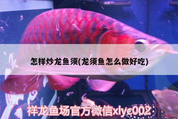 怎样炒龙鱼须(龙须鱼怎么做好吃) 祥龙水族滤材/器材