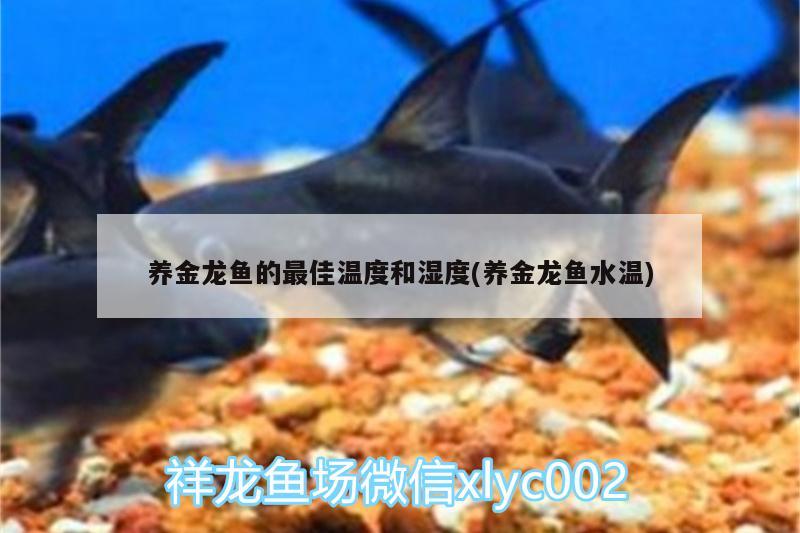 养金龙鱼的最佳温度和湿度(养金龙鱼水温)