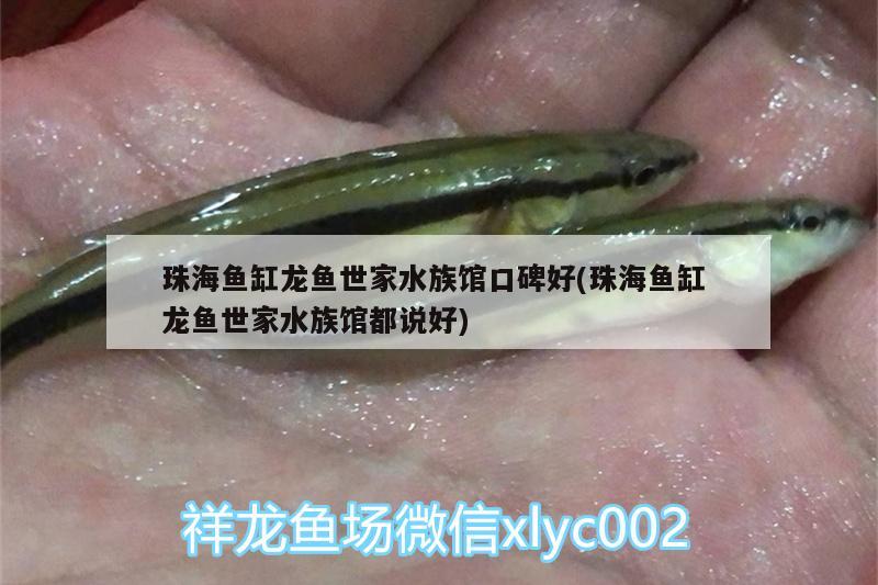 珠海鱼缸龙鱼世家水族馆口碑好(珠海鱼缸龙鱼世家水族馆都说好) 野生地图鱼