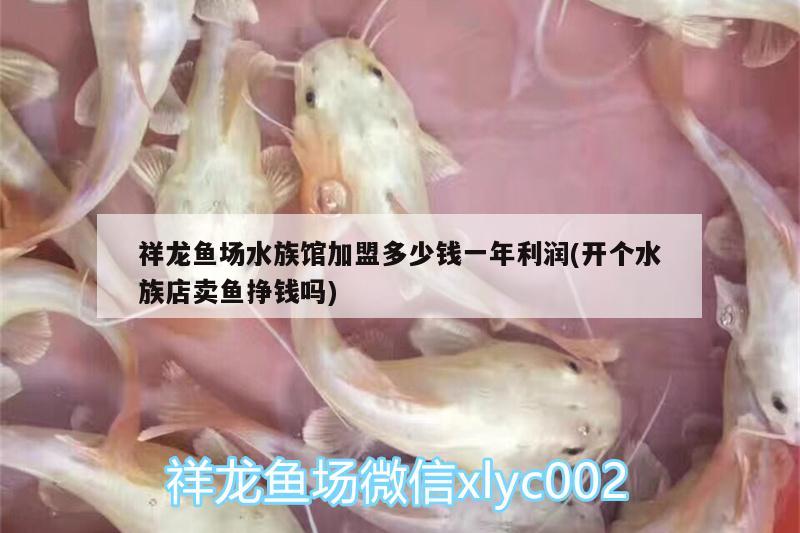 祥龙鱼场水族馆加盟多少钱一年利润(开个水族店卖鱼挣钱吗) 祥龙鱼场