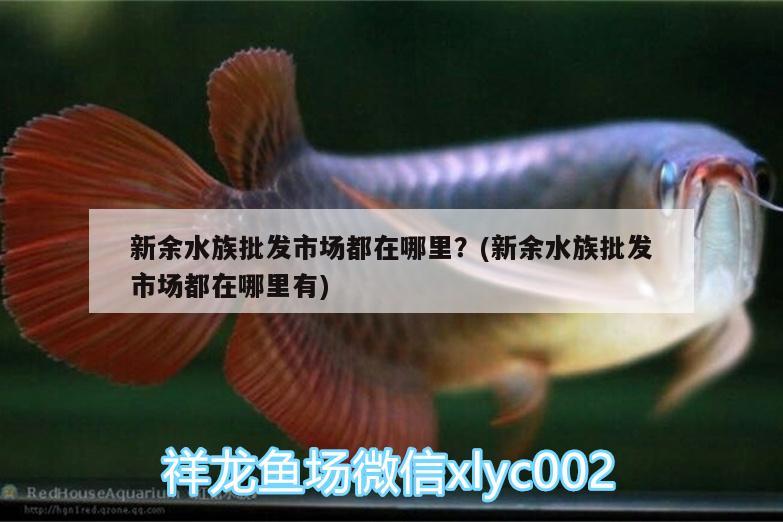 新余水族批发市场都在哪里？(新余水族批发市场都在哪里有) 观赏鱼水族批发市场