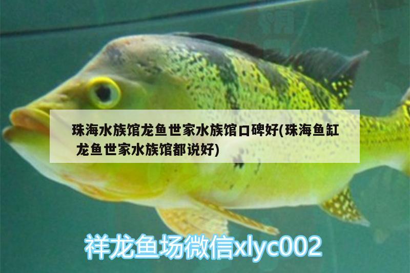 珠海水族馆龙鱼世家水族馆口碑好(珠海鱼缸龙鱼世家水族馆都说好) 水草