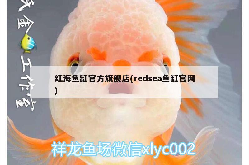 红海鱼缸官方旗舰店(redsea鱼缸官网)