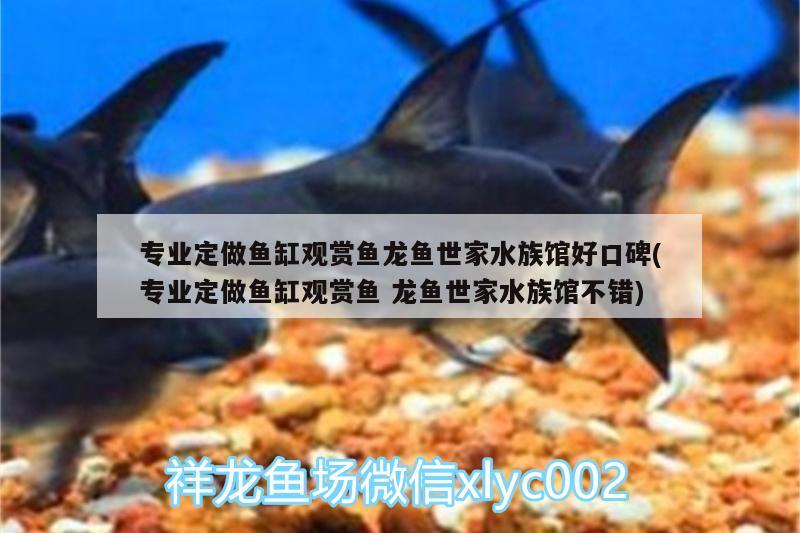 专业定做鱼缸观赏鱼龙鱼世家水族馆好口碑(专业定做鱼缸观赏鱼龙鱼世家水族馆不错) 魟鱼百科