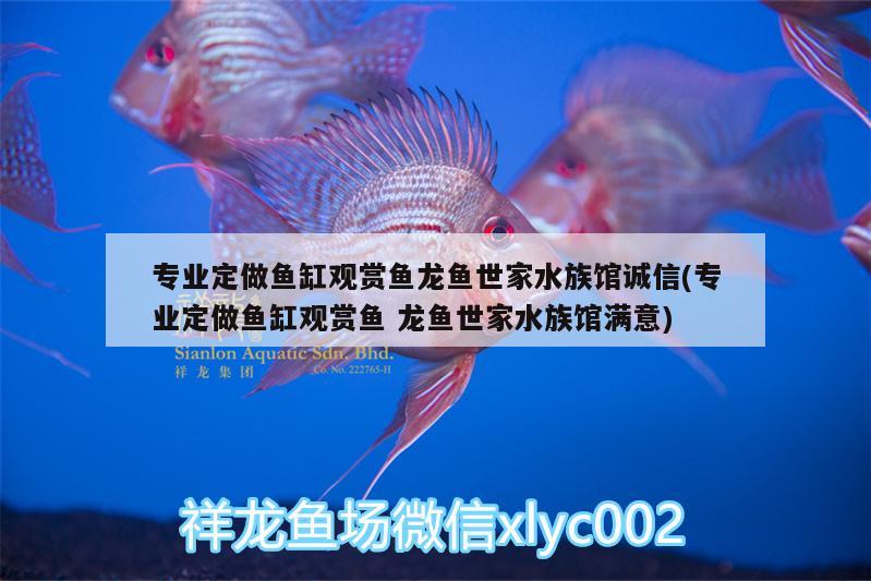 专业定做鱼缸观赏鱼龙鱼世家水族馆诚信(专业定做鱼缸观赏鱼龙鱼世家水族馆满意)