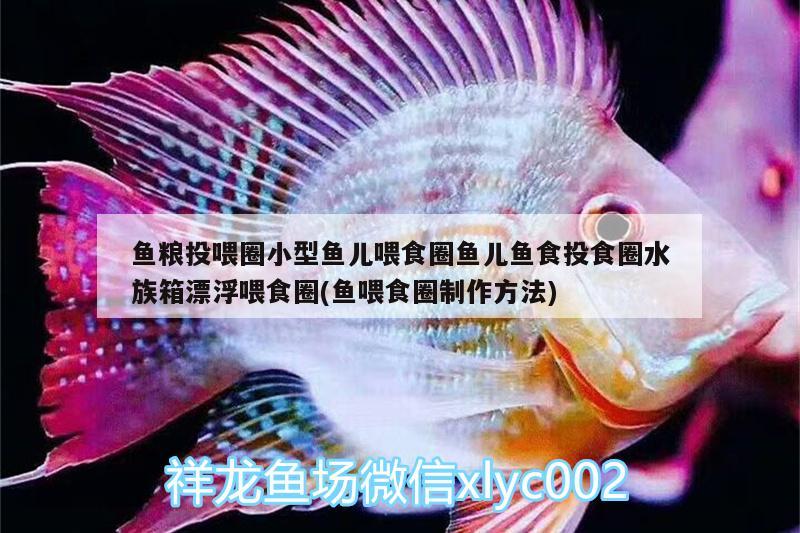 鱼粮投喂圈小型鱼儿喂食圈鱼儿鱼食投食圈水族箱漂浮喂食圈(鱼喂食圈制作方法) 鱼缸/水族箱