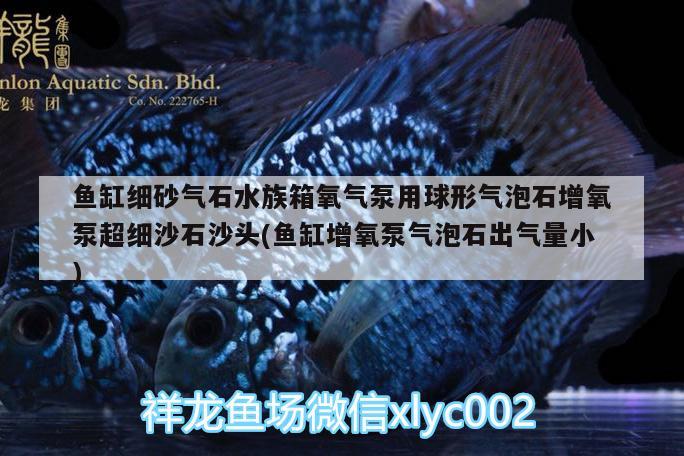 鱼缸细砂气石水族箱氧气泵用球形气泡石增氧泵超细沙石沙头(鱼缸增氧泵气泡石出气量小) 鱼缸/水族箱