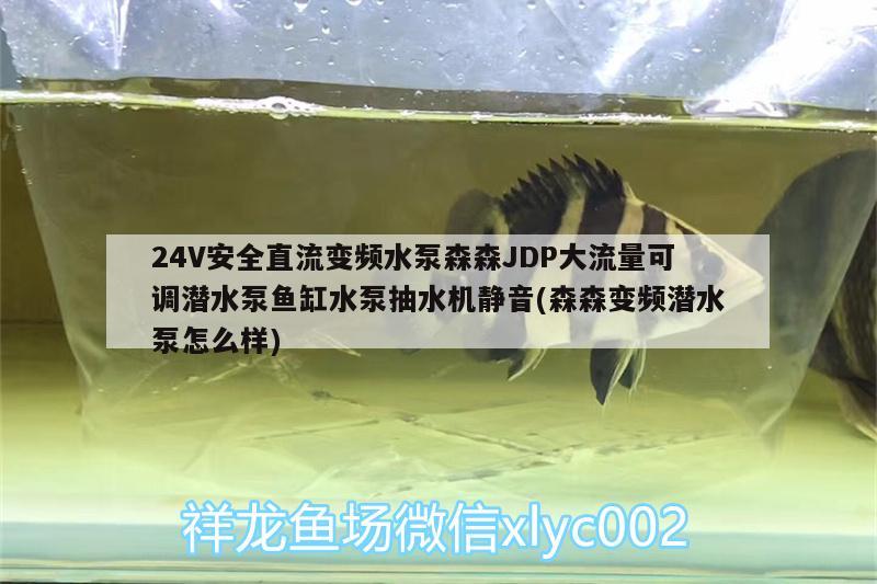 24V安全直流变频水泵森森JDP大流量可调潜水泵鱼缸水泵抽水机静音(森森变频潜水泵怎么样)