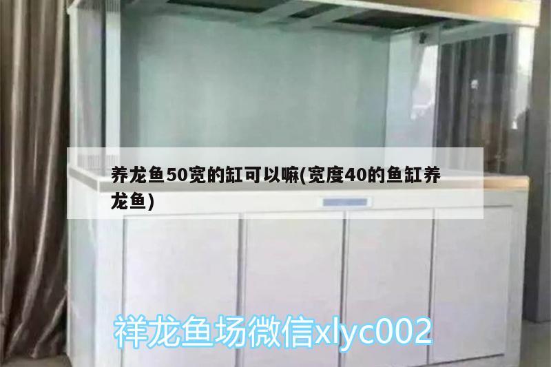 养龙鱼50宽的缸可以嘛(宽度40的鱼缸养龙鱼)