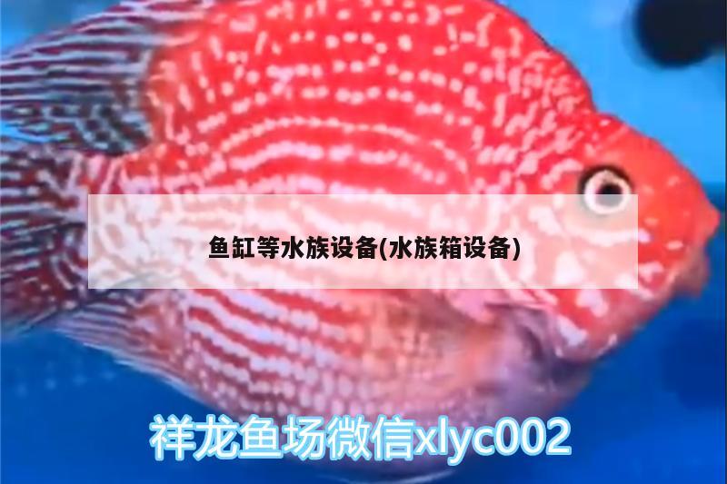 鱼缸等水族设备(水族箱设备) 鱼缸/水族箱